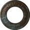 Ekena Millwork Salem Ceiling Medallion (Canopies up to 7 1/8"), 13 1/4"OD x 7 1/8"ID x 7/8"P, Bronze Blue Patina CM13SABBS - alternate 1